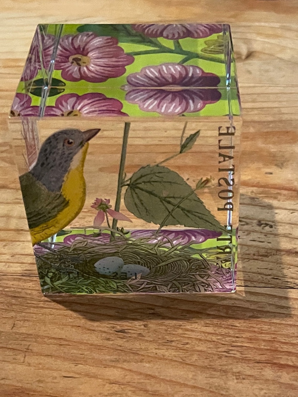 NWOT Paris Artistous Bird Floral Nest 🪺 Postal square butterfly paperweight 2x2